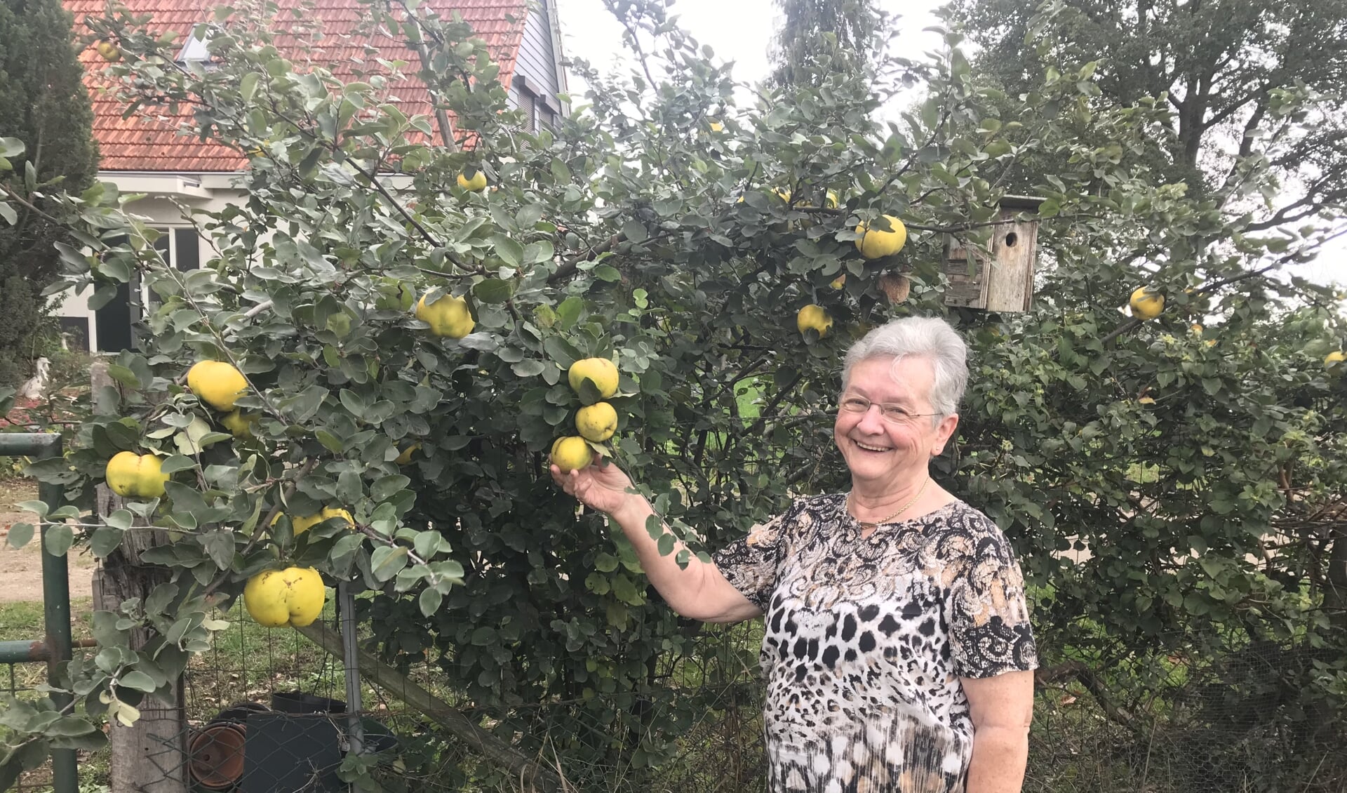 Ria Olijslager in haar tuin bij de kweepeerbomen.