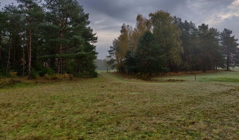 <p>Bomen zorgen voor landschappelijke kwaliteit. Foto: Rob Stevens</p>