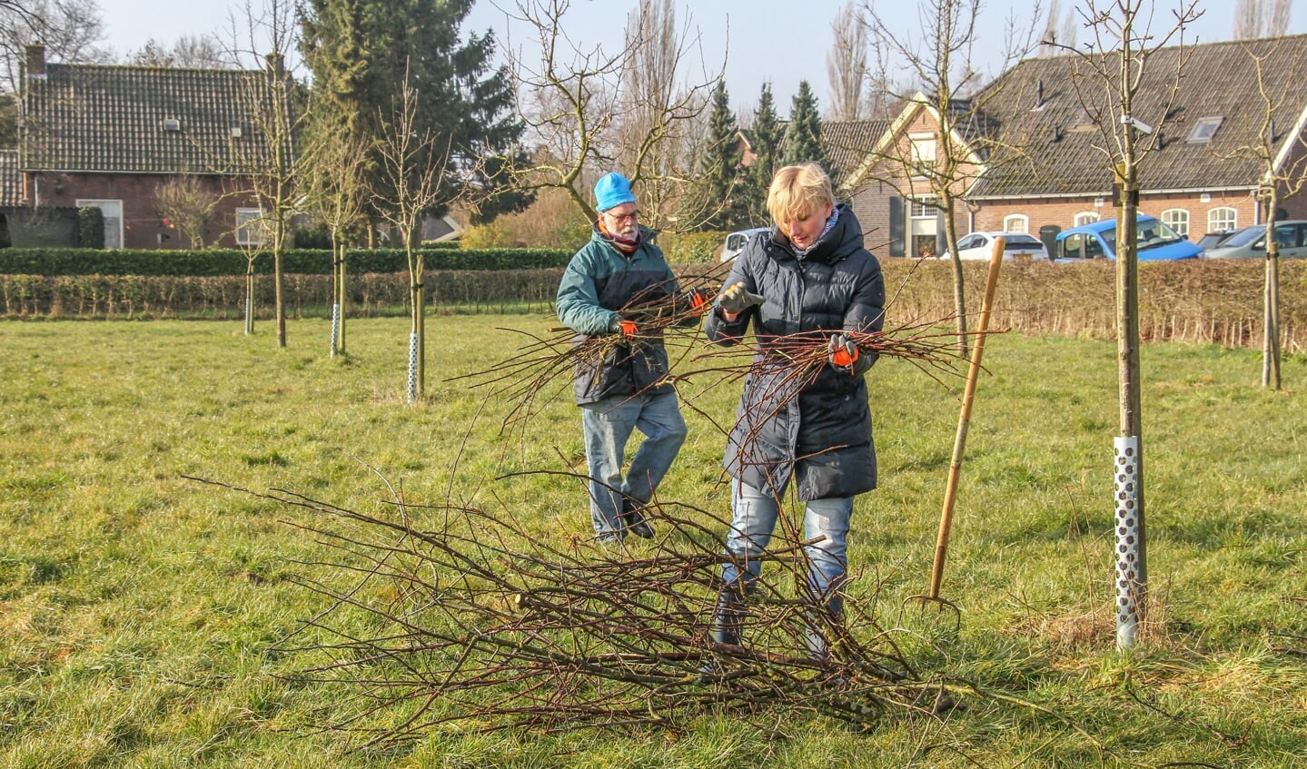 2016; Burgemeester Besselink gaat tijdens het buurt maken als vrijwilliger bij Het Steenders Landschap aan de slag in de boomgaard van Linzell. Foto: Liesbeth Spaansen