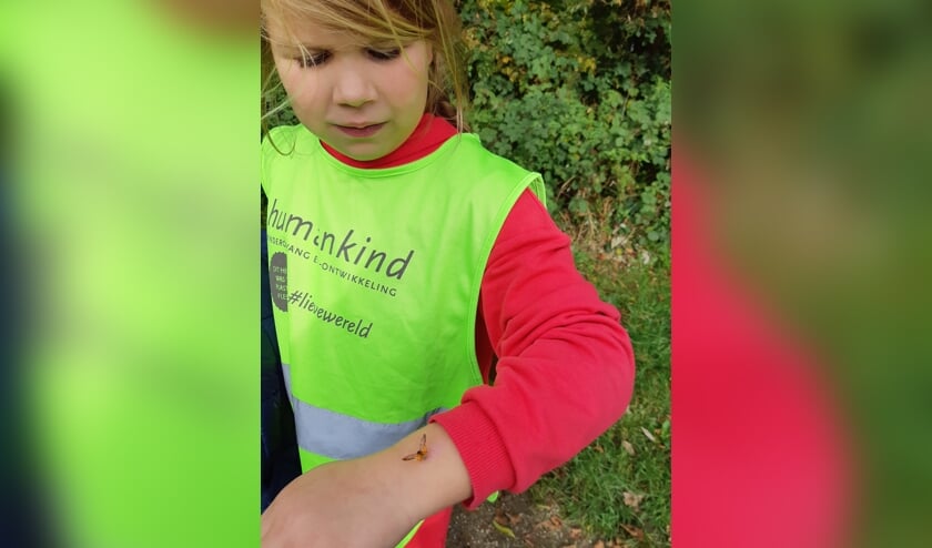 <p>Zo dicht op de huid kun je insecten als een lieveheersbeestje goed bekijken. Foto: PR</p>