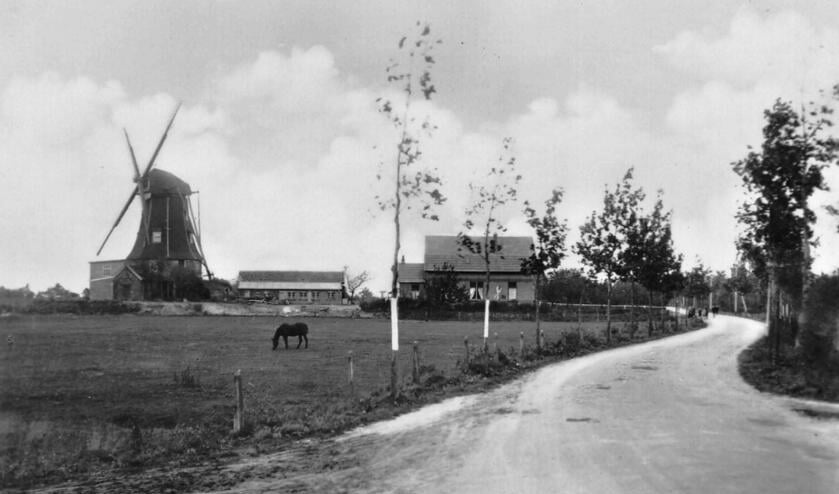 <p>Foto: collectie Leo van der Linde</p>