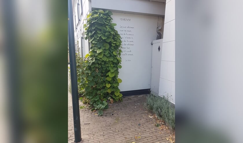 <p>Muurgedicht in de Goudsmitstraat. Foto: Mark Ebbers</p>