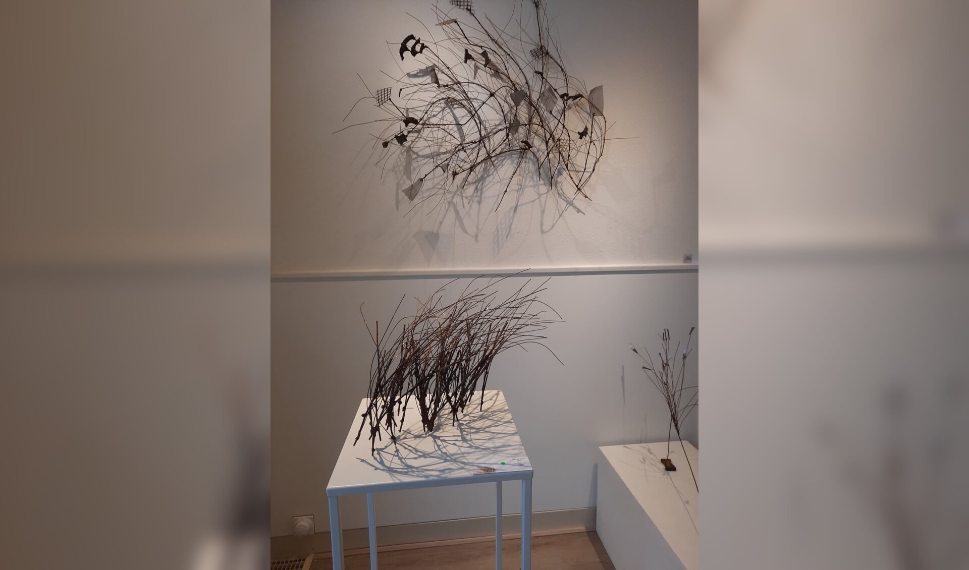 Werk van Hannah Blom in Galerie de Burgerij. Foto: Irene Burgers