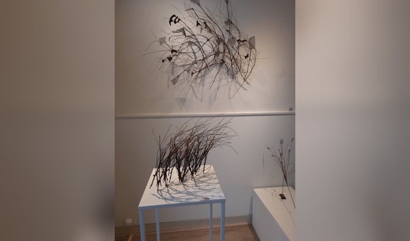 <p>Werk van Hannah Blom in Galerie de Burgerij. Foto: Irene Burgers</p>