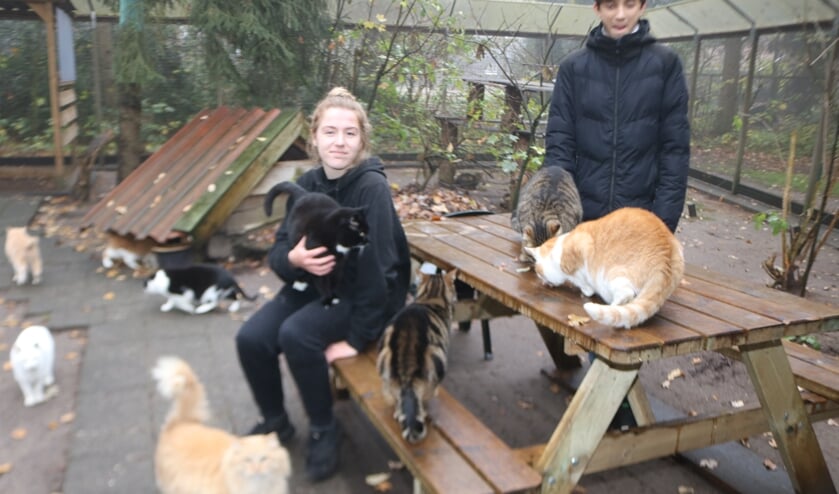<p>Stagiaires Maaike Muiderman en Julius Arnts in een van de kattenverblijven. Foto: Arjen Dieperink </p>