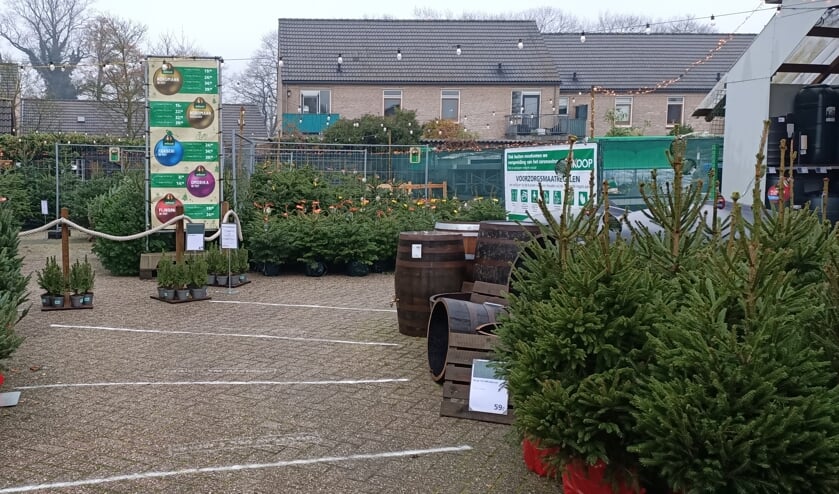 <p>Genoeg kerstbomen te kiezen bij Welkoop. Foto: Welkoop Vorden</p>