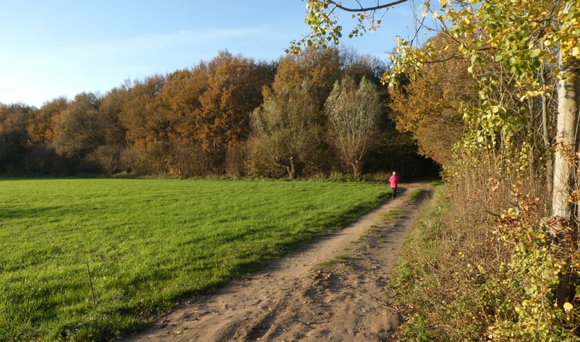 <p>Ook in het najaar en de winter is het prachtig wandelen in de omgeving van Dinxperlo. Foto: B. Bruggink</p>