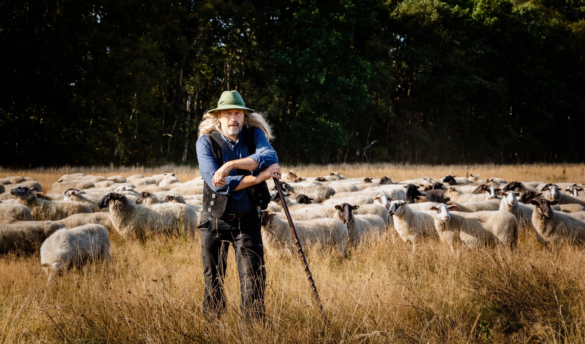 Schaapsherder Roelof Kuiper met zijn kudde. Foto: Gea Laar/KijKG Fotografeert