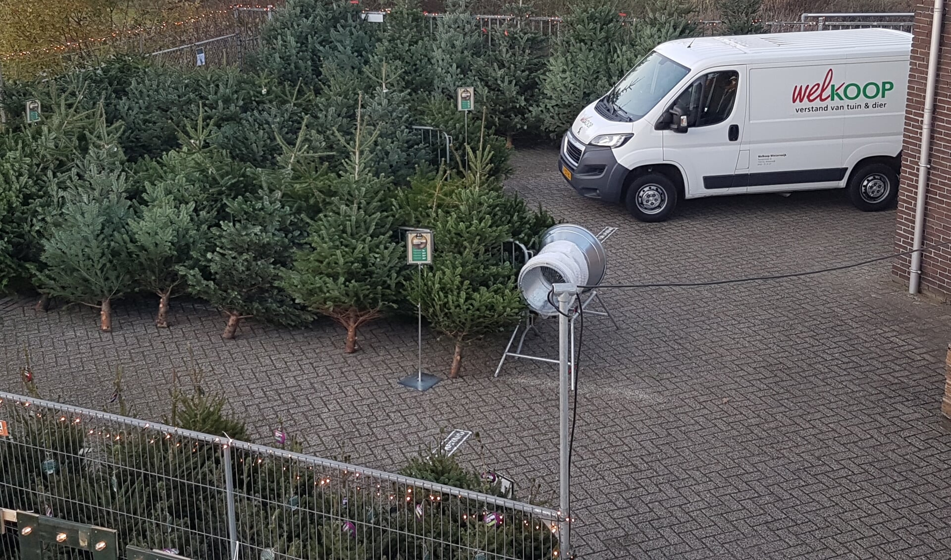 De verkoop van kerstbomen is bij Welkoop inmiddels in volle gang, ook met gratis bezorging.