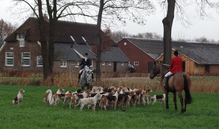 <p>Zaterdag geen meute honden die achter een urinespoor van een vos aanjagen zoals vorig jaar in Ruurlo. Foto: Jan Hendriksen</p>