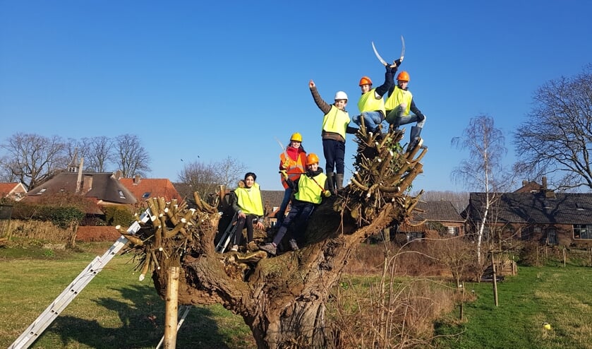 Het is best goed toeven boven in een wilg met vriendjes en vriendinnetjes. Foto: Rob Krassenberg