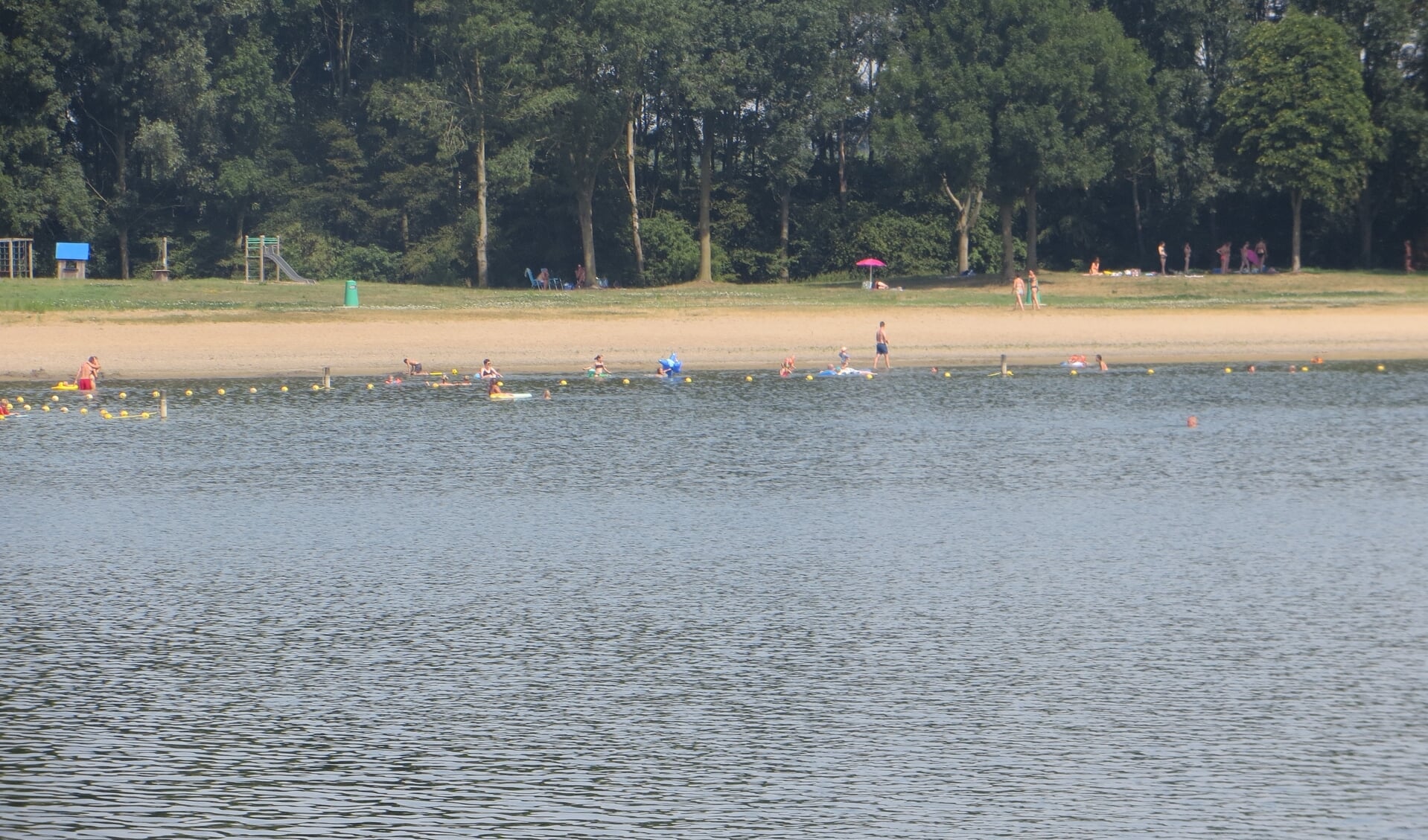 De waterkwaliteit van de Slingeplas is weer voldoende om erin te zwemmen. Foto: Bernhard Harfsterkamp