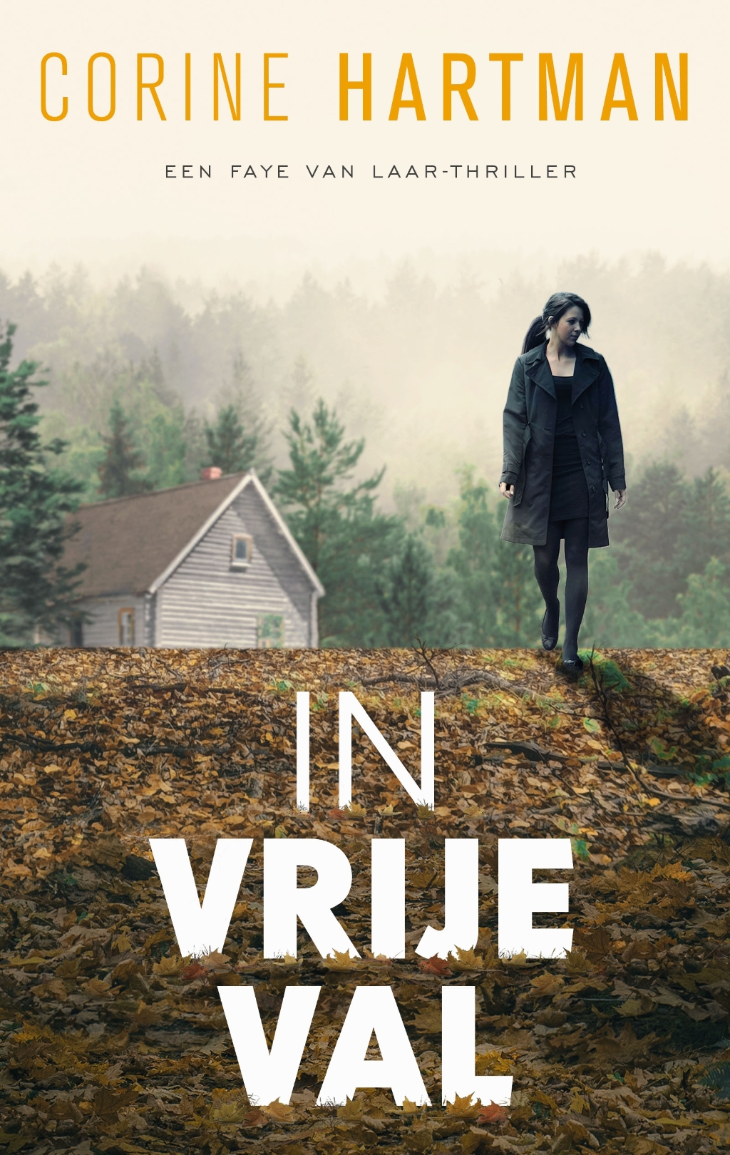 Omslag van het tweede deel uit de Faye van Laar-thillerserie.