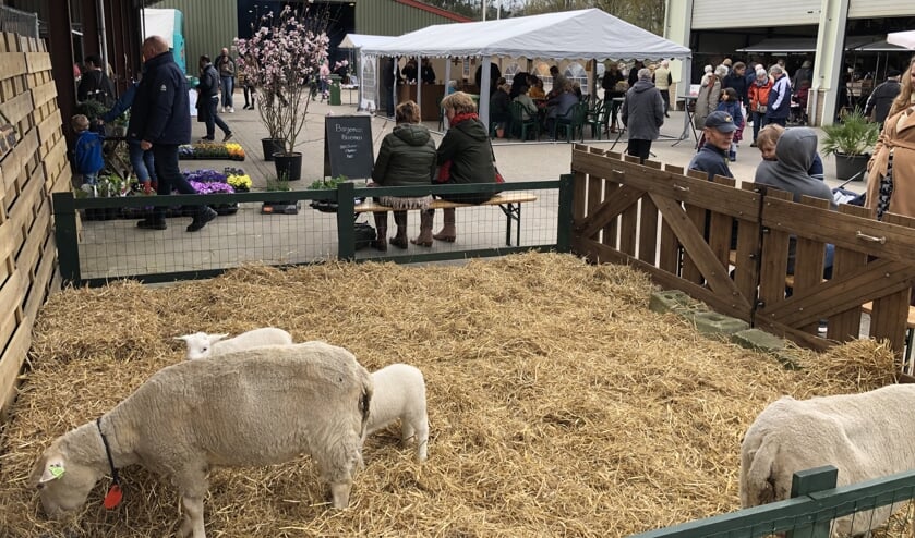 Medler Lente Fair 2019. Foto: PR