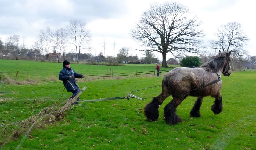 Lutz maakt korte metten met de omheining. Foto: PR Heurns Belang