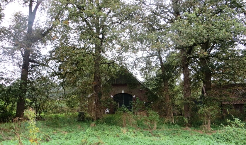 Stadstuinbouw rondom de oude boerderij in het gebied. Foto: Bernhard Harfsterkamp