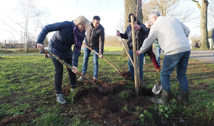 Burgemeester Besselink plant de eerste bomen van de Meuhoek fase 3. Foto: StAM
