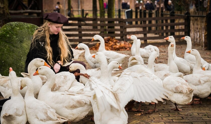 De ganzenhoedster reikt het eerste ganzenei uit. Foto: Foto: Silvain Poel