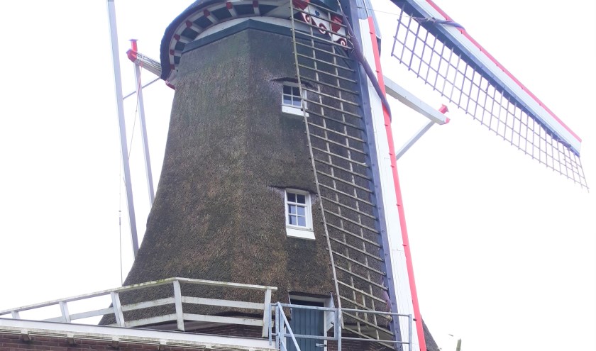 De Lindesche Molen. Foto: PR