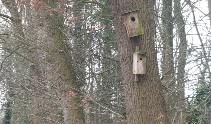 Het CDA wil graag dat de gemeente nestkastjes beschikbaar stelt.
