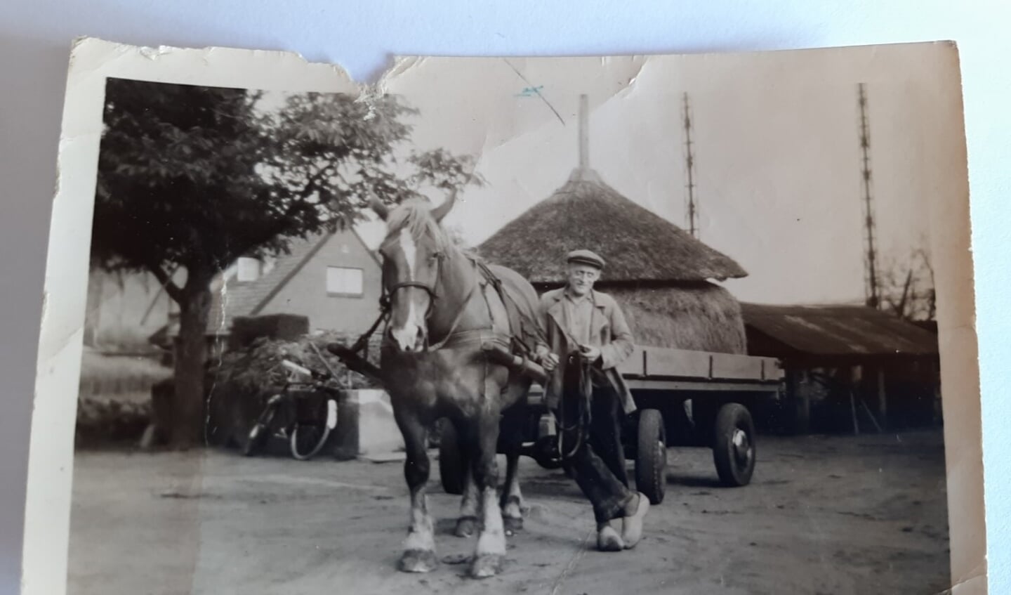 Bernard met paard en wagen. Foto: I. Hissink-Kapper