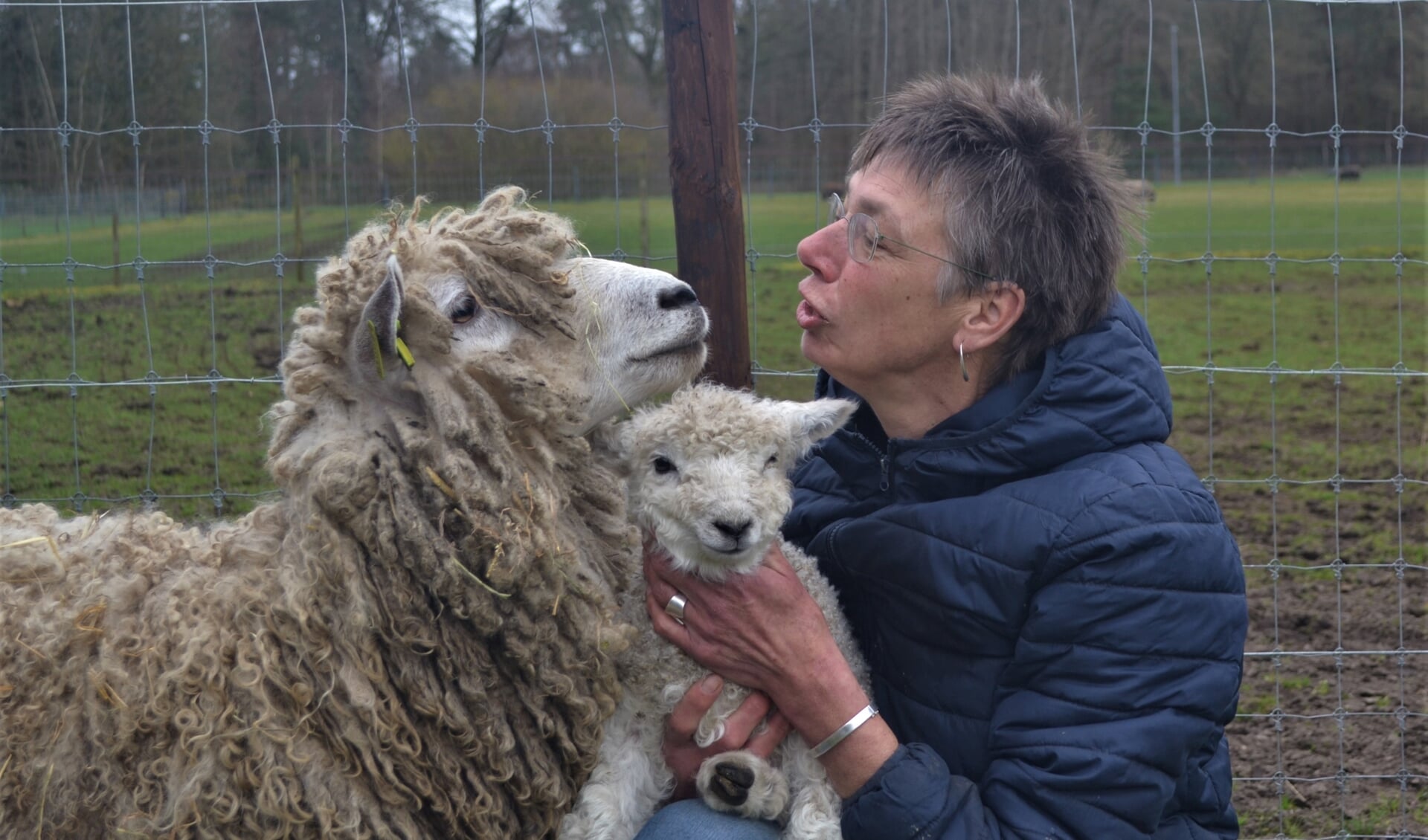 Karin Wassink met haar Leicester Longwool-schapen. Foto: PR