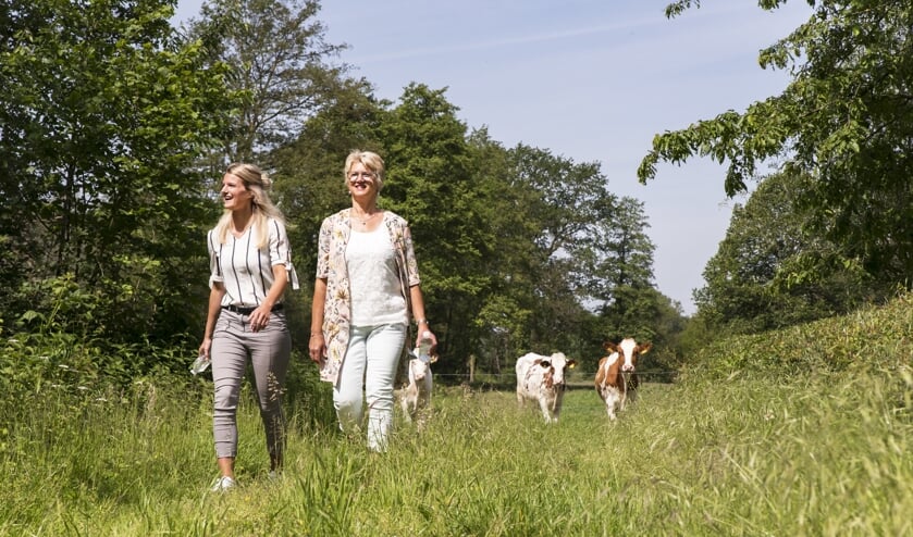 Winterswijk is een van de wandelgemeenten. Foto: Annet Piek