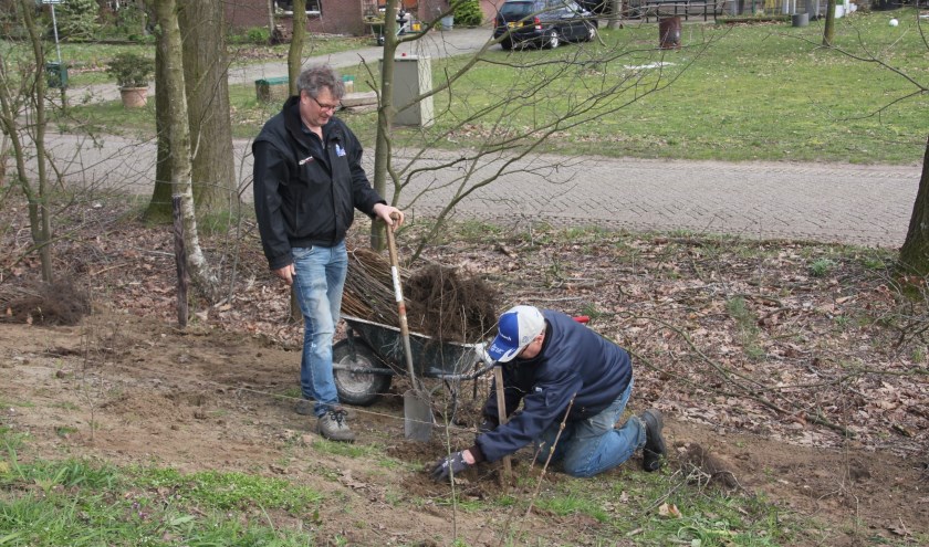 Leerink en te Lindert beplanten de geluidswal. Foto: B. Hilferink