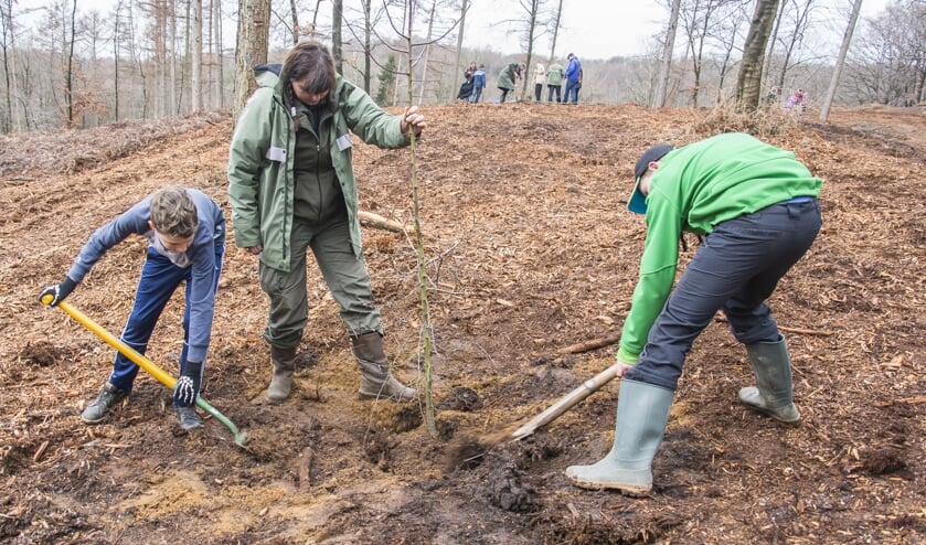 Vorig jaar werden er ook bomen door kinderen geplant. Foto: Eloy Millennia Gotjé.