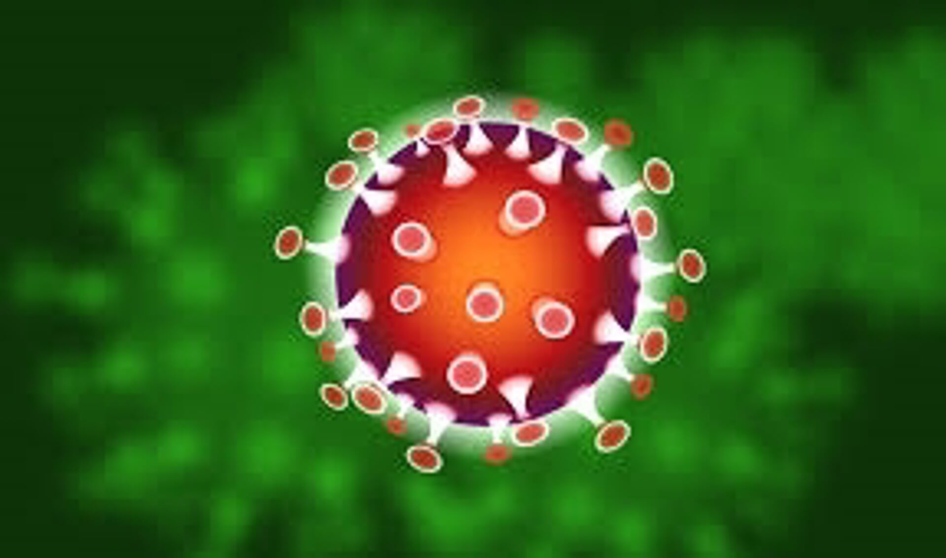 Het coronavirus. Foto: Pixaby