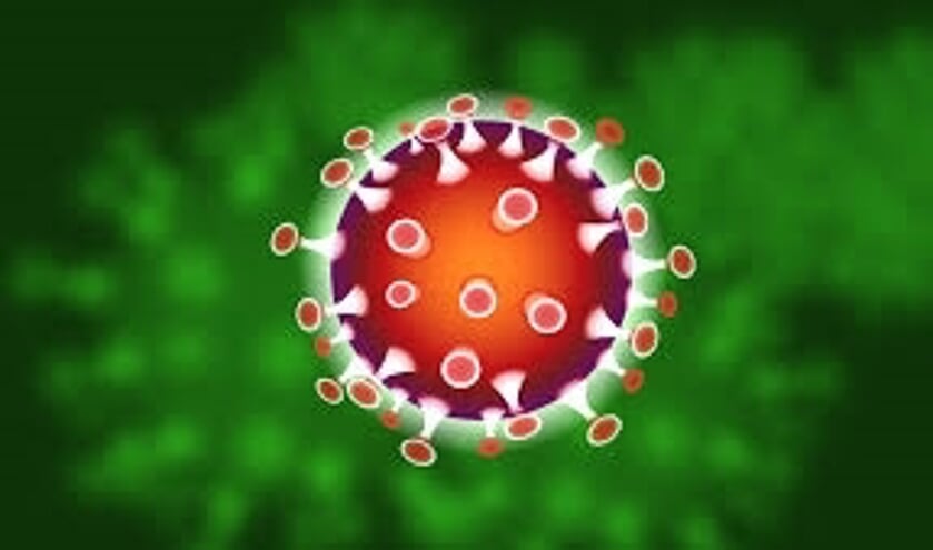 Het coronavirus. Foto: Pixaby