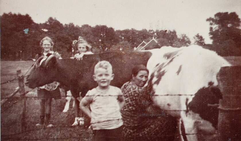 Vlnr Opa Arend Jan Duenk, slager Gleis , vader Josep (Joodse veehandelaar), kleinzoon Josep, zoon Josep, en Berend Hendrik Duenk. Stier levering 1130 kg, geslacht 744 kg.