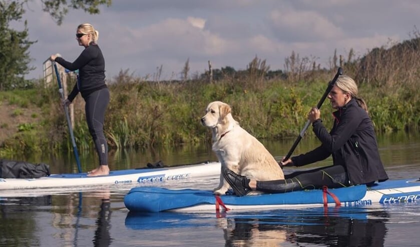 Suppen met de hond. Foto: Nancy Zonneveld