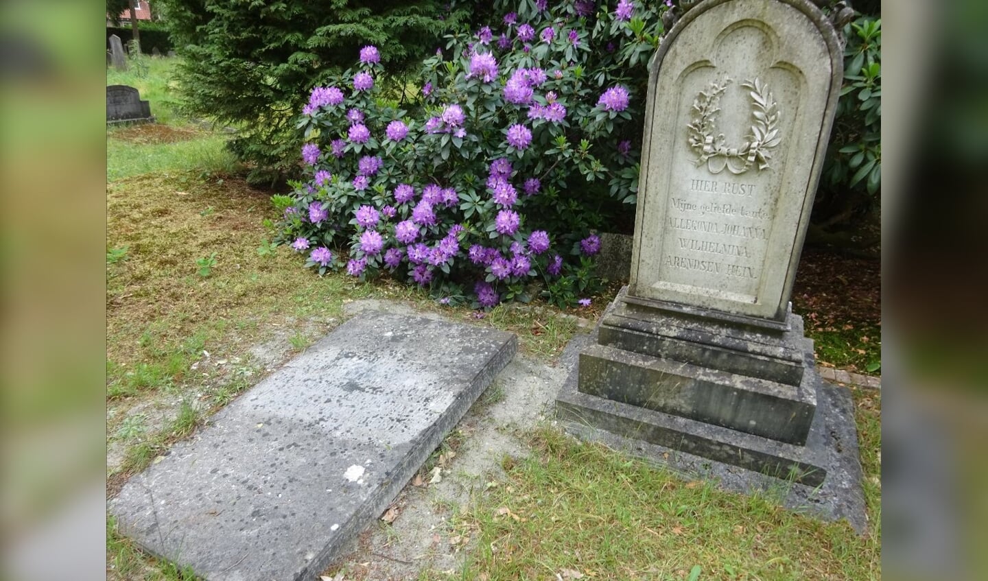 'Tante' Allegonda kreeg een grafsteen van een neef of nicht. Foto: HG