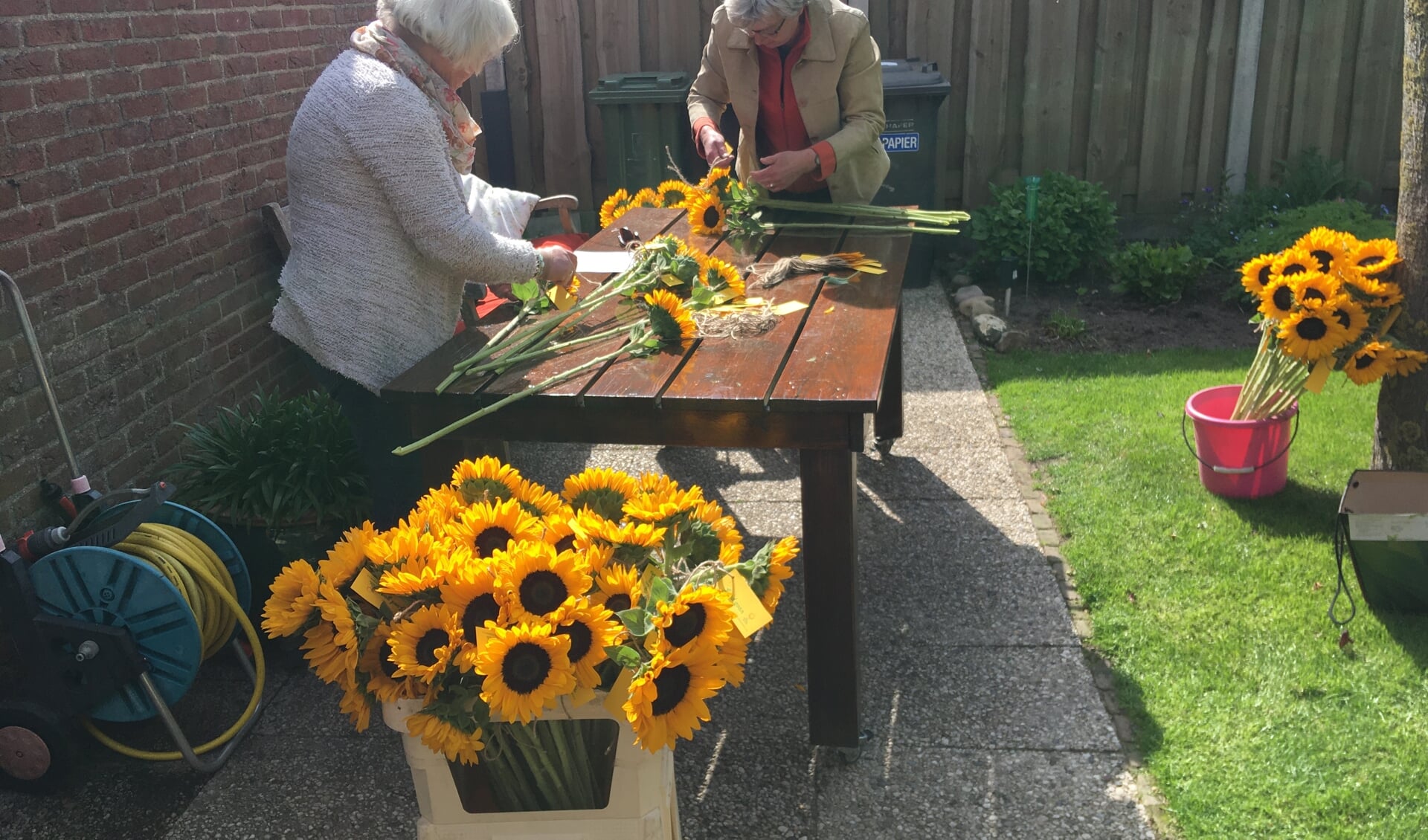 Kaartjes met de wens ‘Goed gaon’ worden aan de zonnebloemen geknoopt. Foto: Trudi van der Weijden