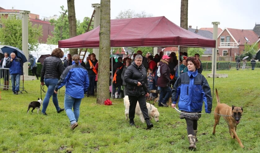 gehoorzaamheid. Foto: Theo Bauhuis
