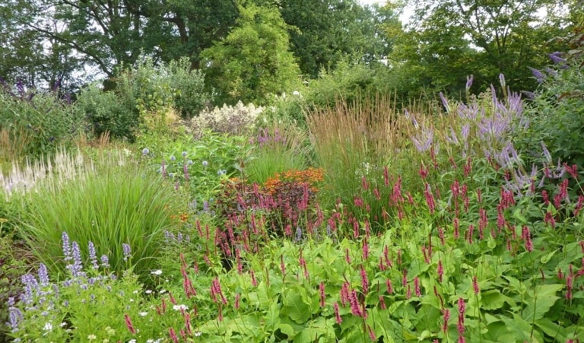 Zes tuinen zijn te bekijken in het Tuinrondje Gorssel. Foto: PR