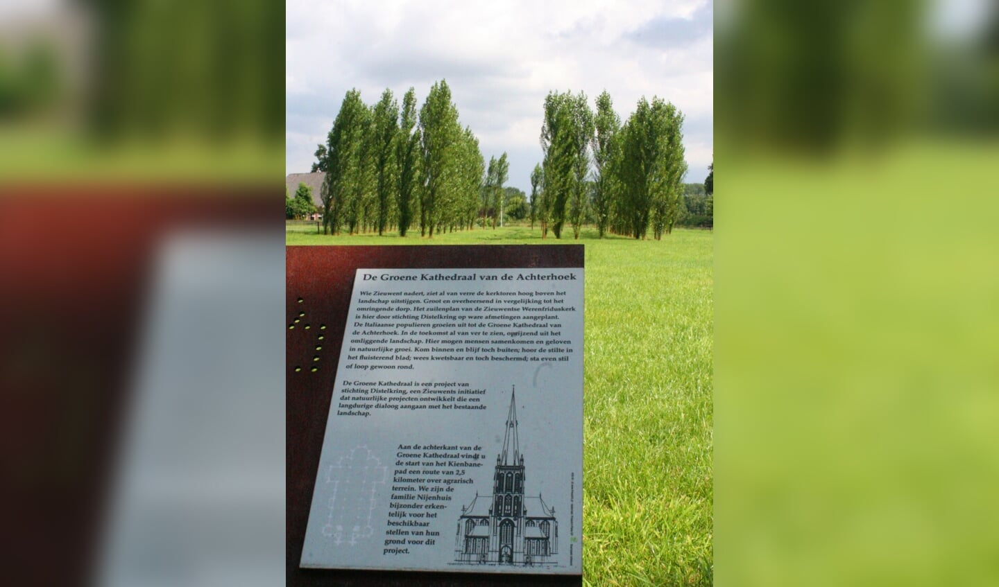 De Groene Kathedraal aan de Rouwhorsterdijk. Foto: Jos Betting