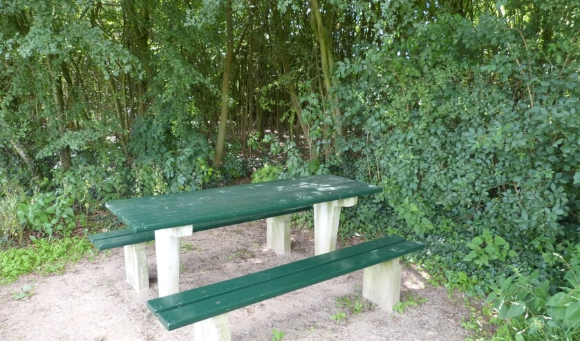 Een bankje aan de Dwarsweg. Foto: Bernhard Harfsterkamp