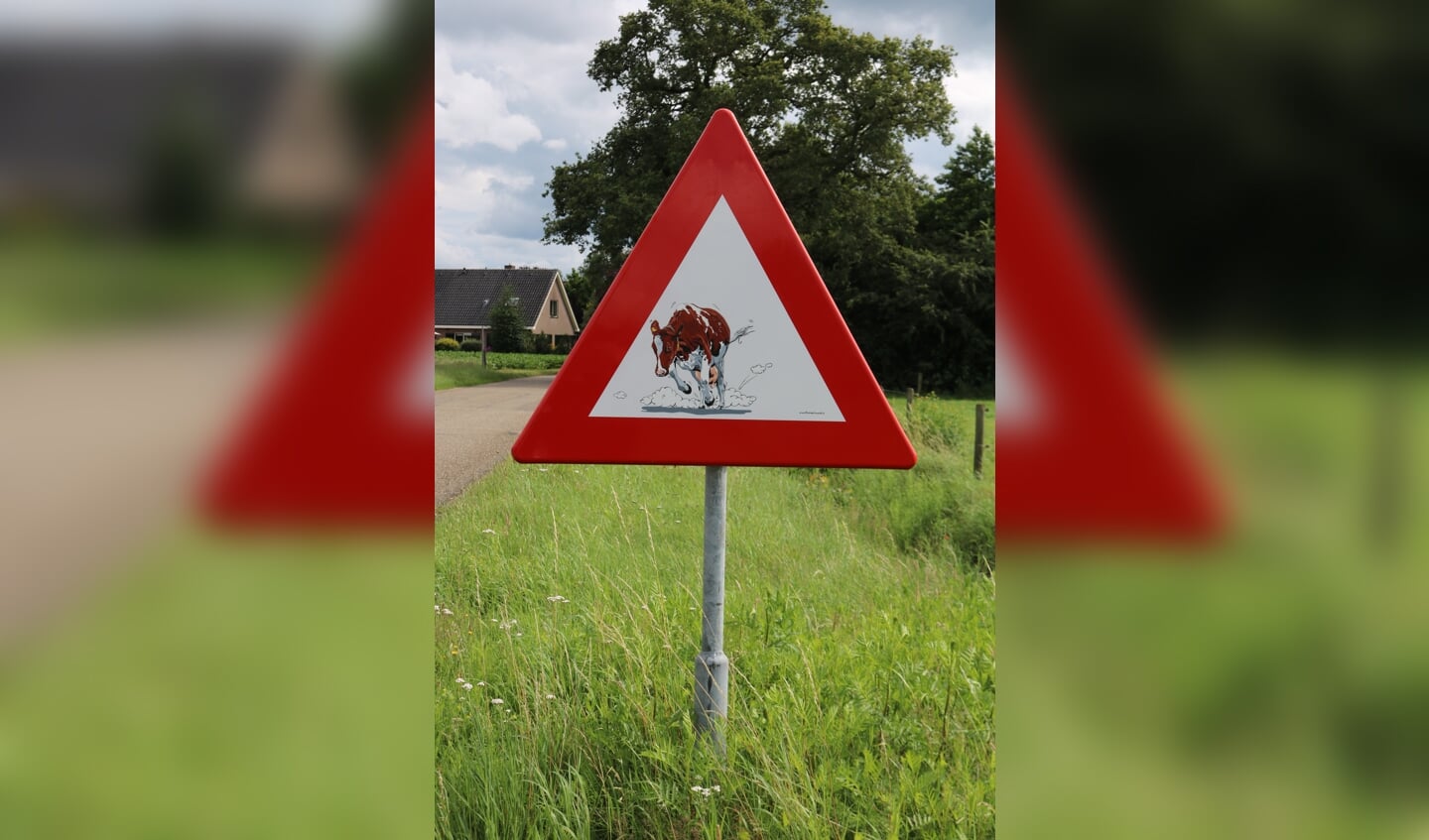 Dit bord, met Wendie 19 erop, is inmiddels het derde dat werd gestolen aan de Dochterenseweg.  Foto: Arjen Dieperink