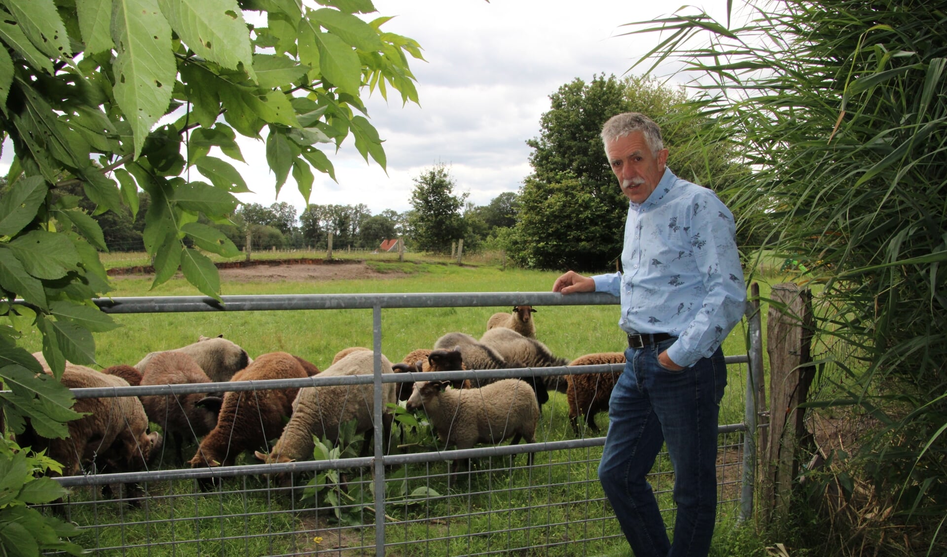 Frits Küpers bij de schapen op zijn boerderij. Foto: Lydia ter Welle