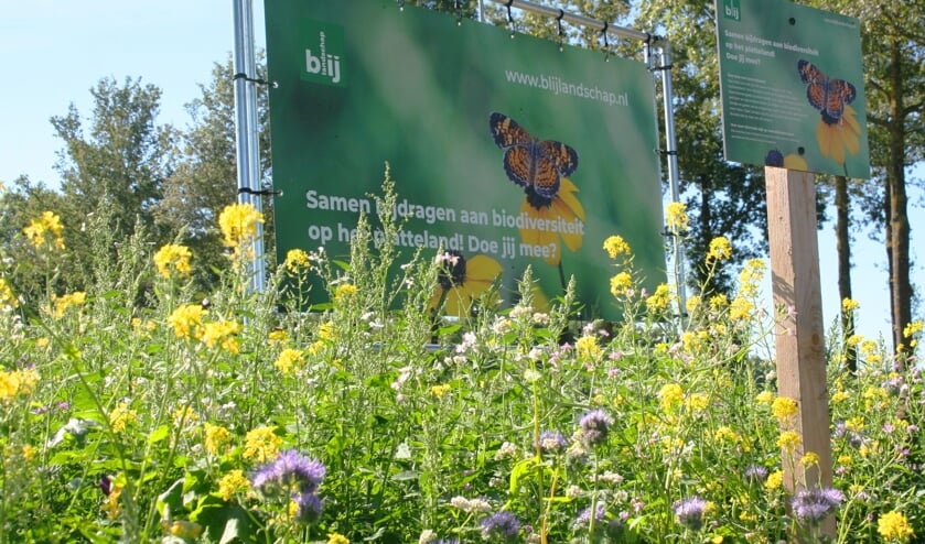Akkerranden van familie Pleiter aan de Manenschijnweg in Vragender. Foto: Jos Betting