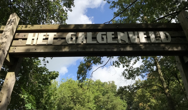 Bigband Berkelland, muziekvereniging Volharding en de Borchländer Musikanten verzorgen een concert op Het Galgenveld. Foto: PR