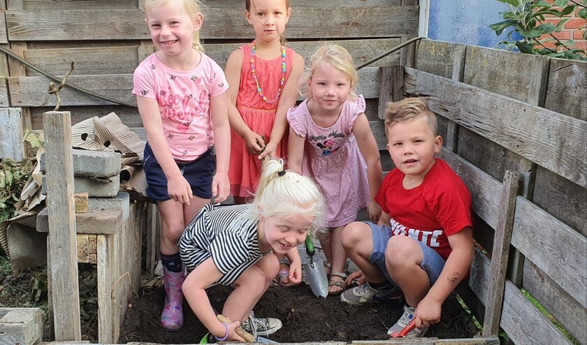 Leerlingen van groep 1 en 2 zoeken wormen in de composthoop. Foto: Rob Weeber