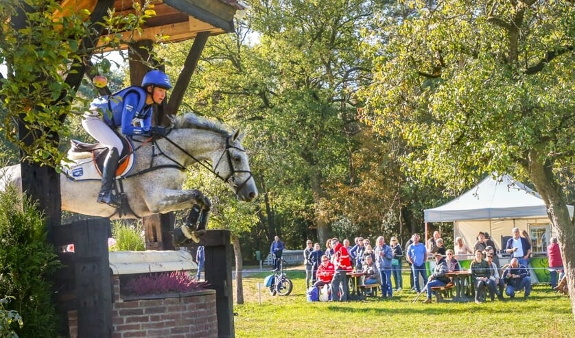 Achterhoeks Hippisch Festijn. Foto: PR