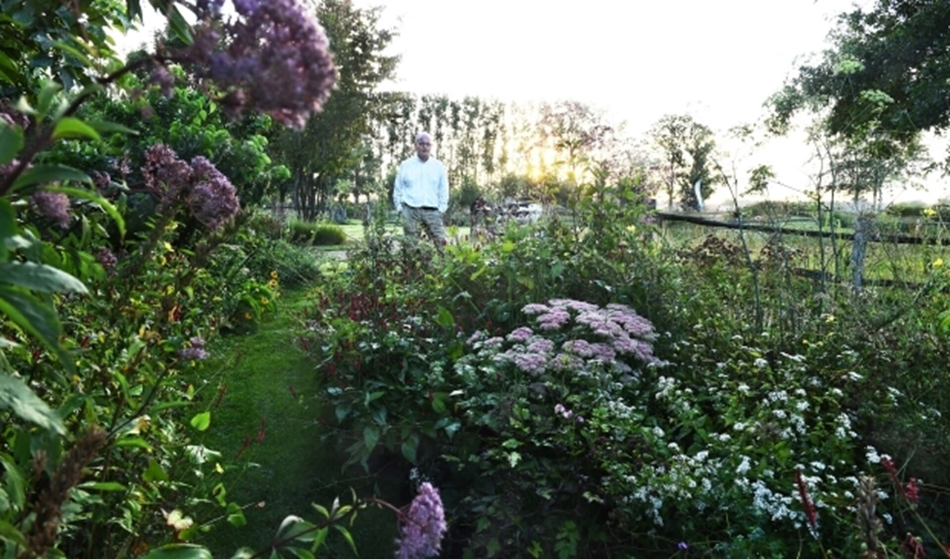 Tuinarchitect Nico Wissing. (foto: Roel Kleinpenning)