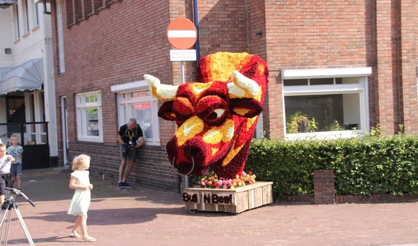 <p>Ontwerp van corsogroep Geschud(t) tijdens de vorig jaar gehouden Dahlia Kunstobjectenroute. Foto: Annekée Cuppers</p>