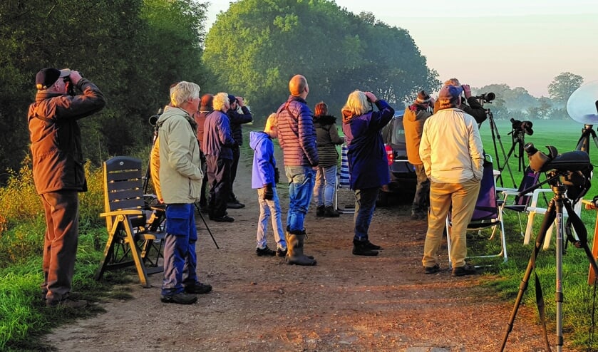 Drukte tijdens een eerdere editie van de Euro Bird Watch. Foto: PR
