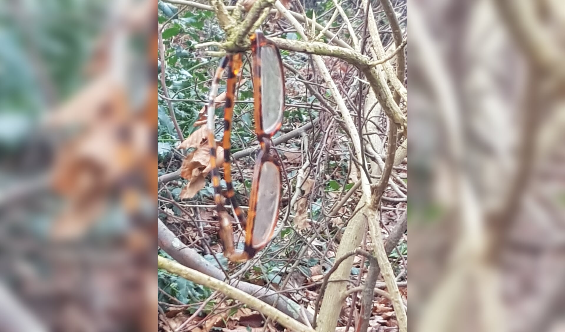 Van wie is deze bril aan een boomtak in Zelhem? Foto: Anne de Roos-den Held 