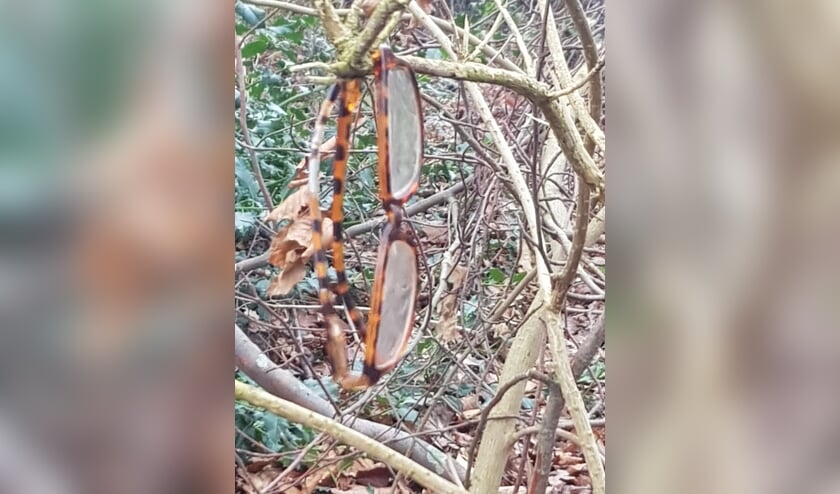 Van wie is deze bril aan een boomtak in Zelhem? Foto: Anne de Roos-den Held